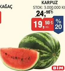 KARPUZ KG KARPUZ KG